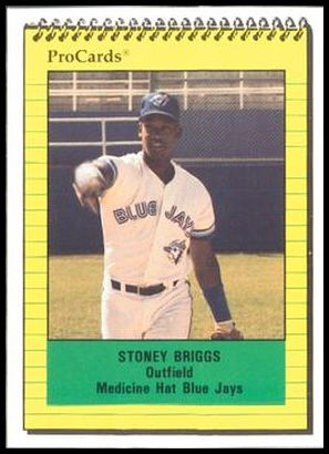 4113 Stoney Briggs